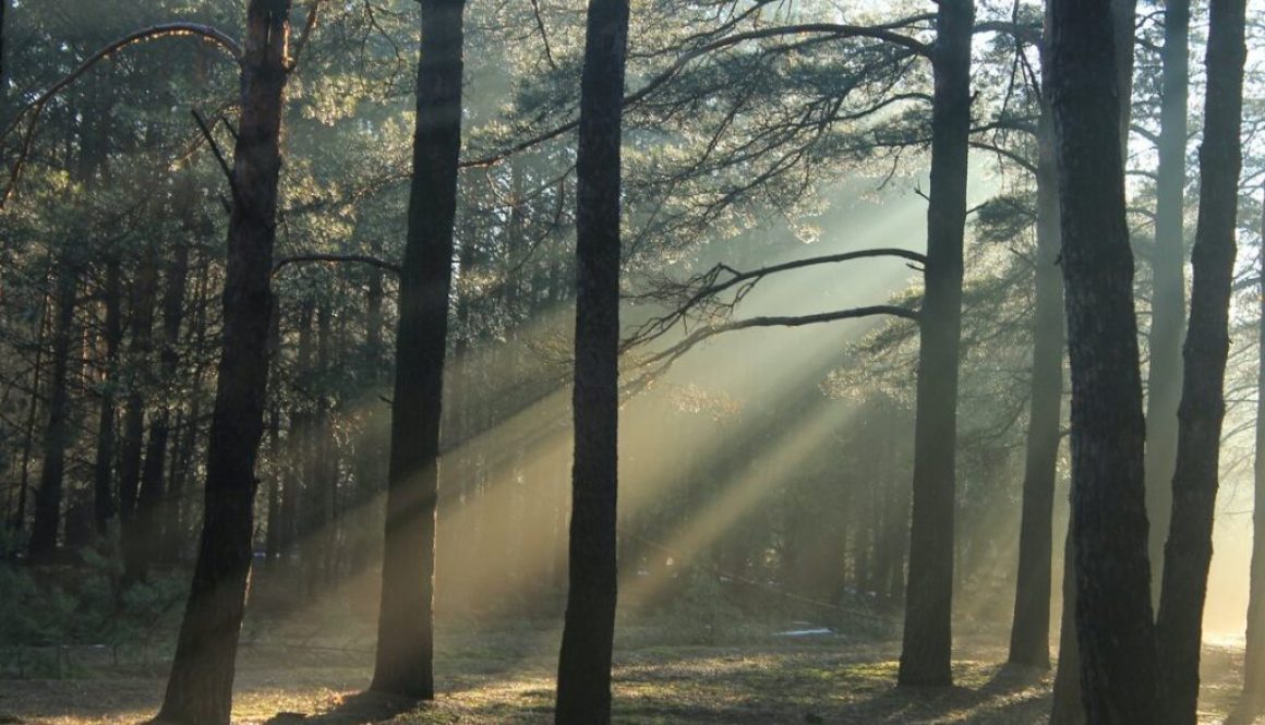 rsz_foto_per_articolo_7_febbraio