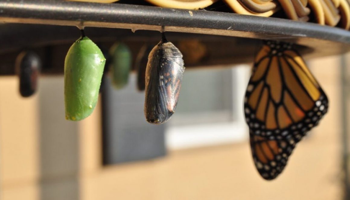 rsz_foto_per_articolo_del_29_agosto