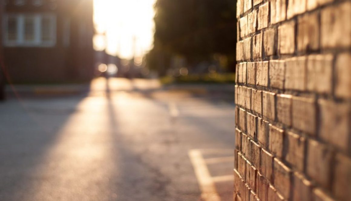 Foto per articolo del 22 maggio 2022