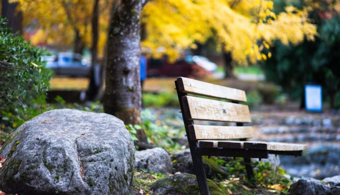 Foto per articolo del 27 novembre 2022