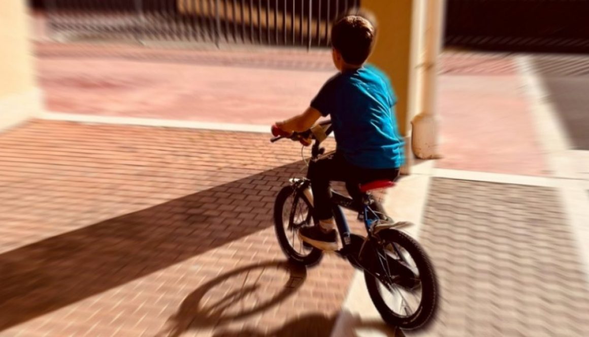 Foto per articolo del 23 aprile 2023