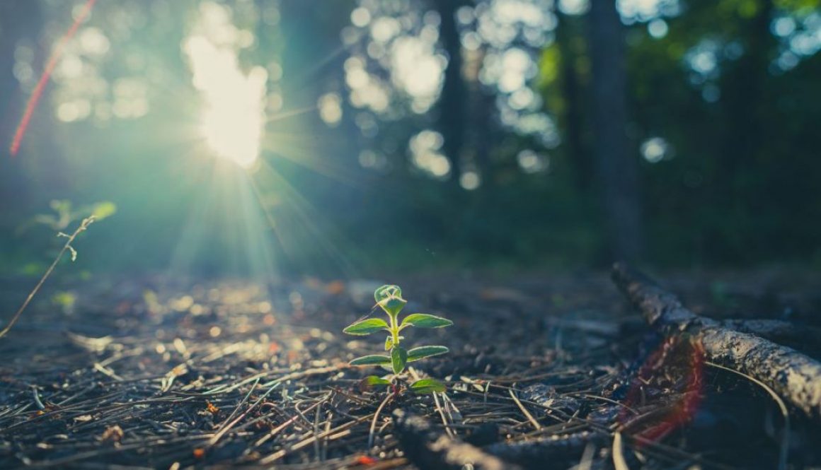 Foto per articolo del 9 aprile 2023